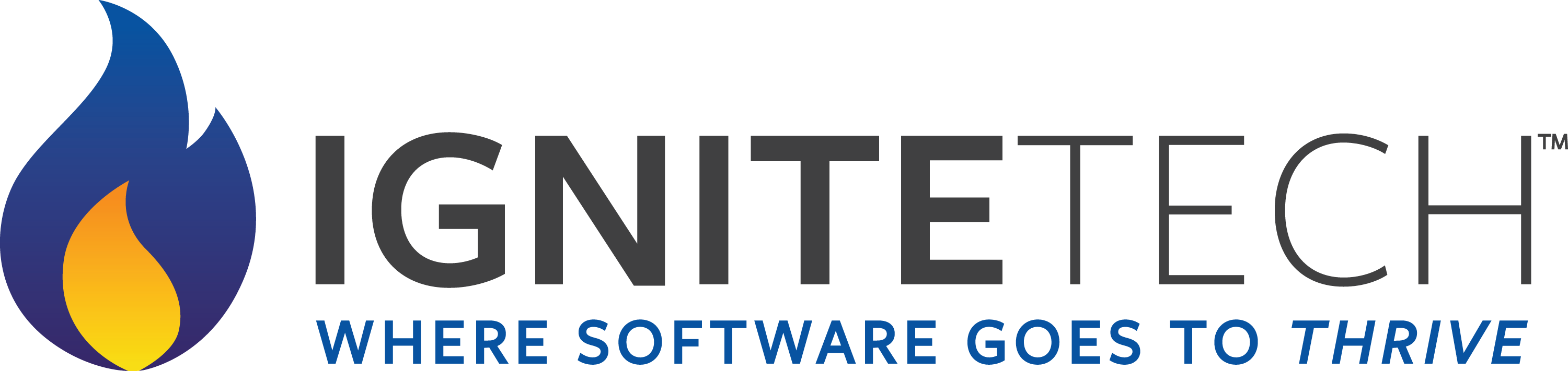 IgniteTech Logo