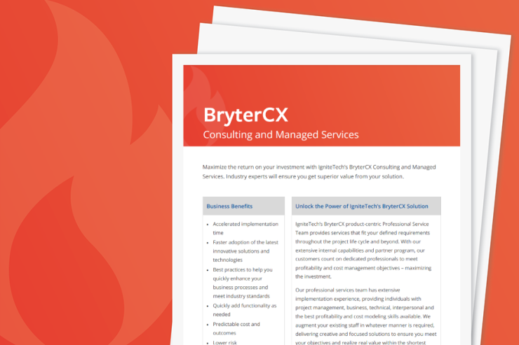BryterCX Consulting Services