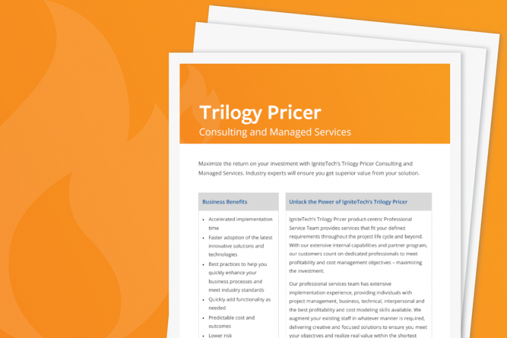 Trilogy Pricer Consulting Services