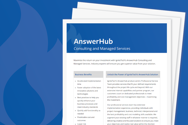AnswerHub Consulting Services