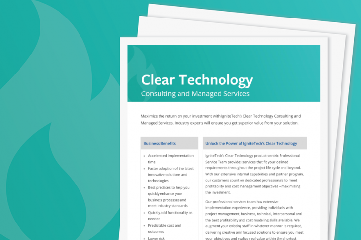 Clear Technology Consulting Services