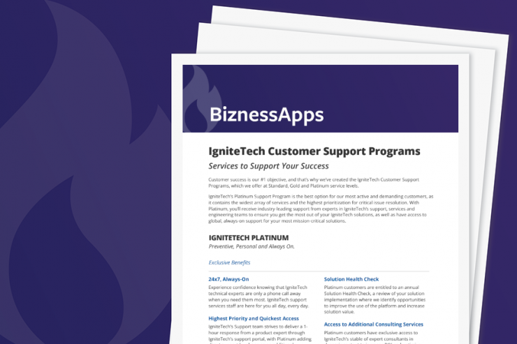 BiznessApps Support Services