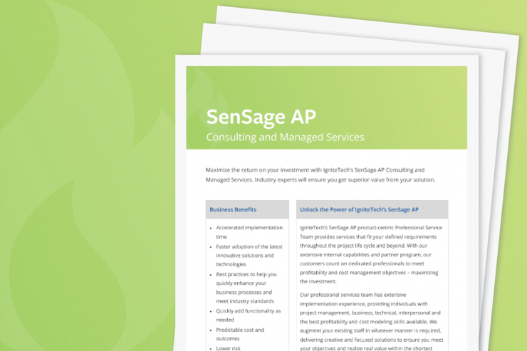 SenSage AP Consulting Services