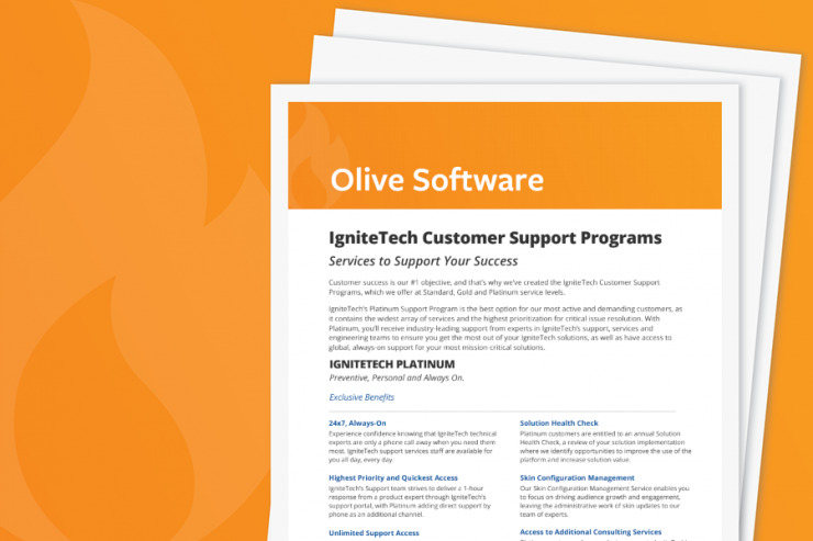 Olive Software Support Services
