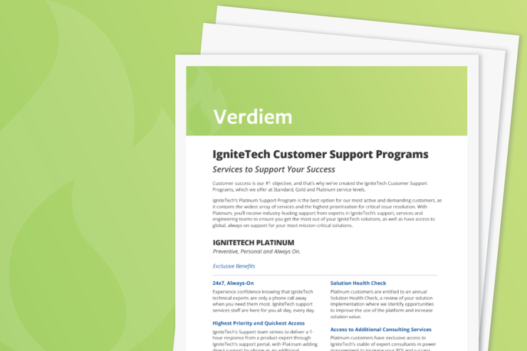 Verdiem Support Services