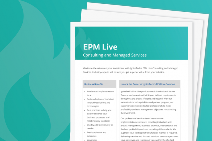 EPM Live Consulting Services