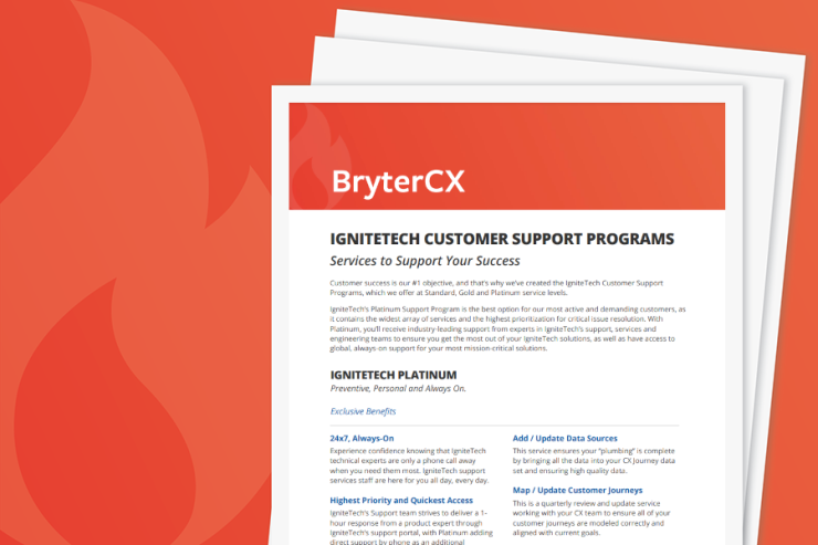 BryterCX Support Services