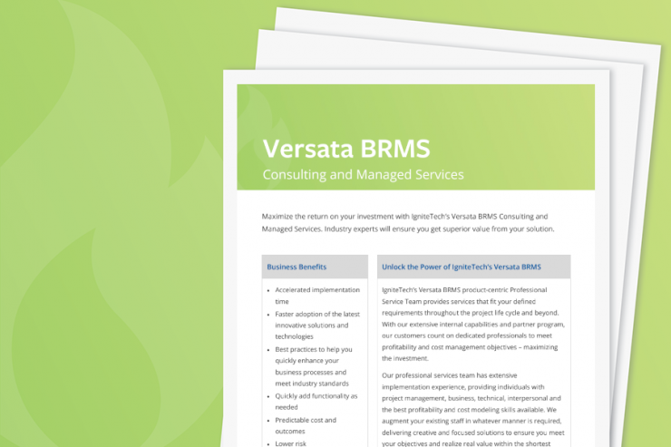 Versata BRMS Consulting Services