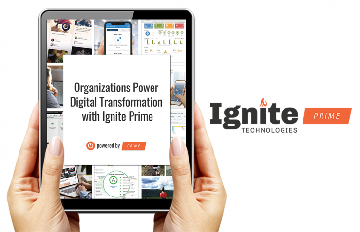 Organizations Power Digital Transformation with IgniteTech Unlimited