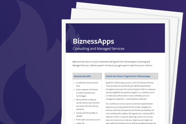 BiznessApps Consulting Services