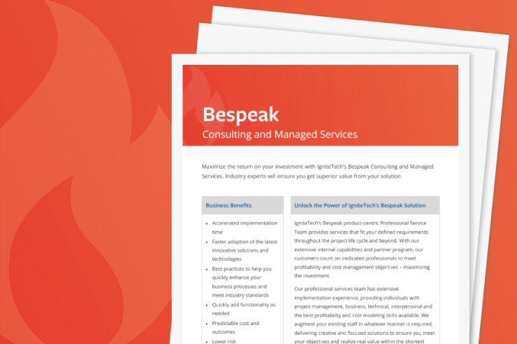 Bespeak Consulting Services