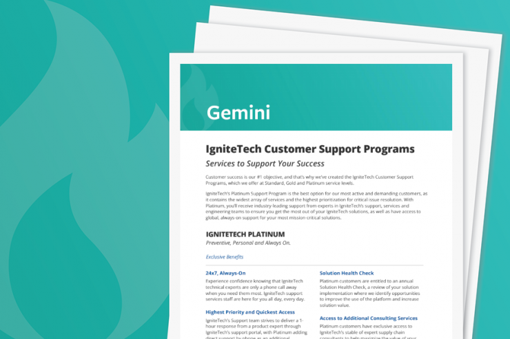 Gemini Support Services