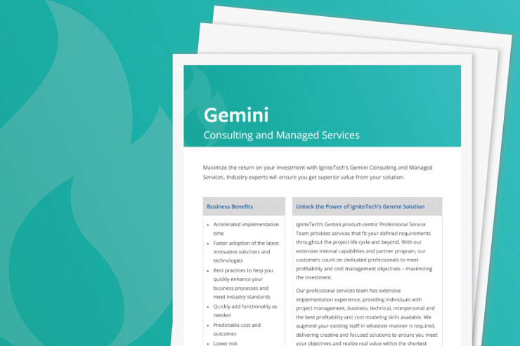 Gemini Consulting Services