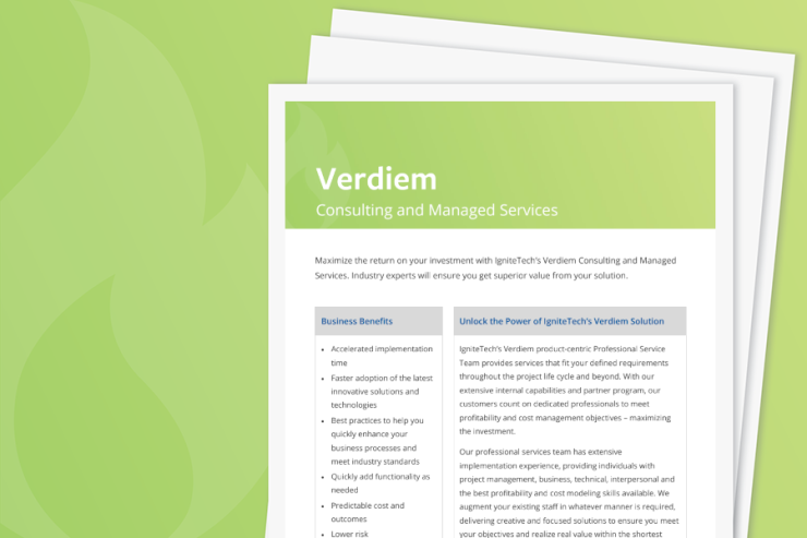 Verdiem Consulting Services