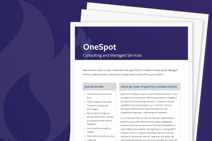 OneSpot Consulting Services