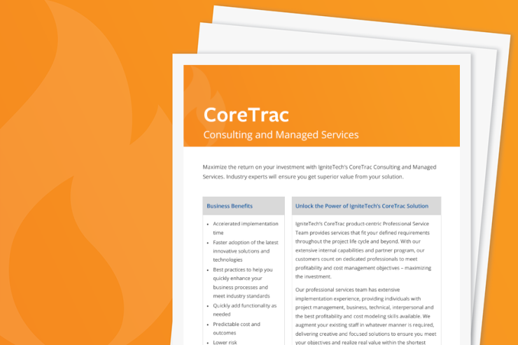 CoreTrac Consulting Services