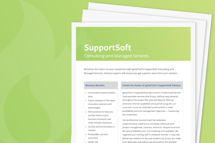 SupportSoft Consulting Services