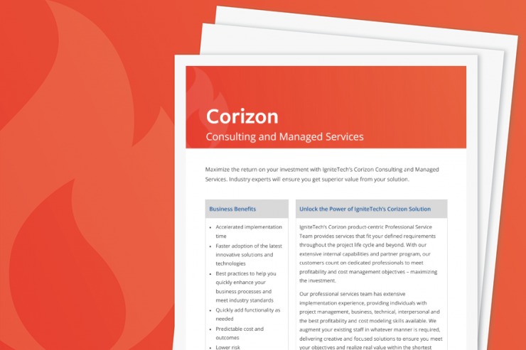 Corizon Consulting Services