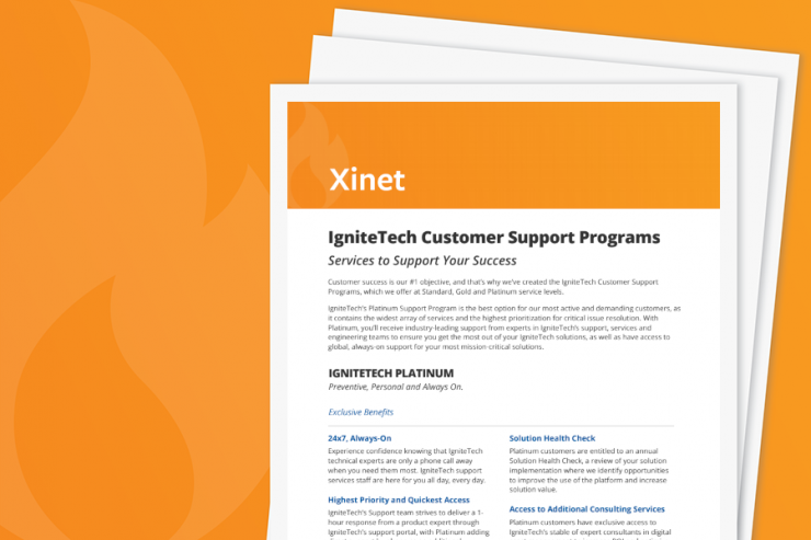 Xinet Support Services